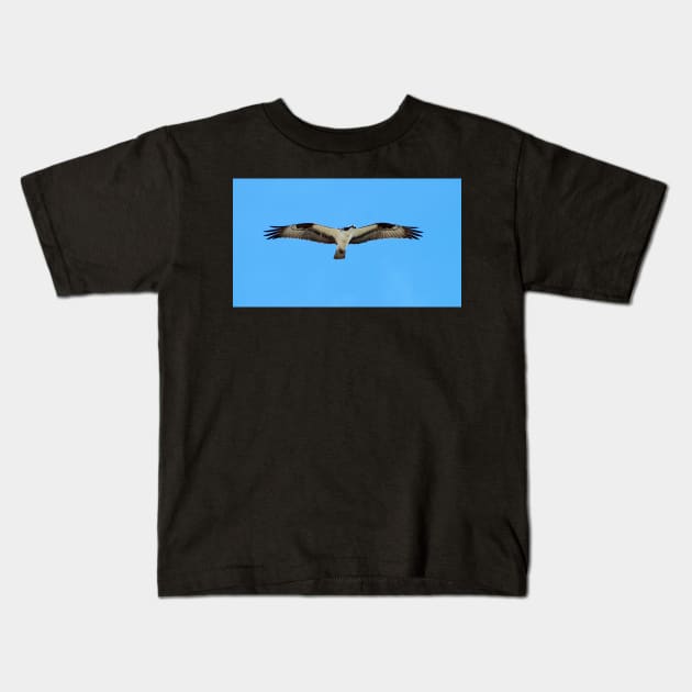 An Osprey Hovering In The Air With Its Wings Spread Apart Kids T-Shirt by BackyardBirder